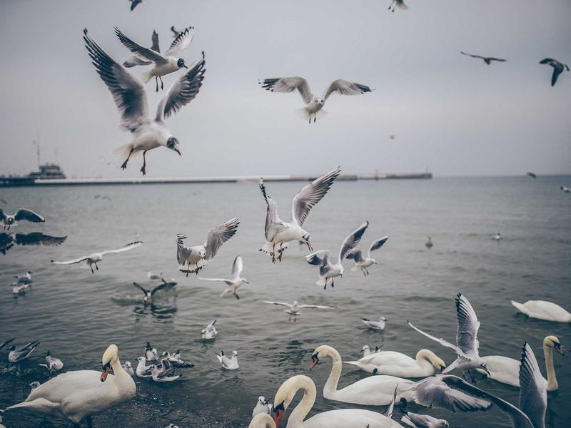 sudoku color blind mode screenshot 1